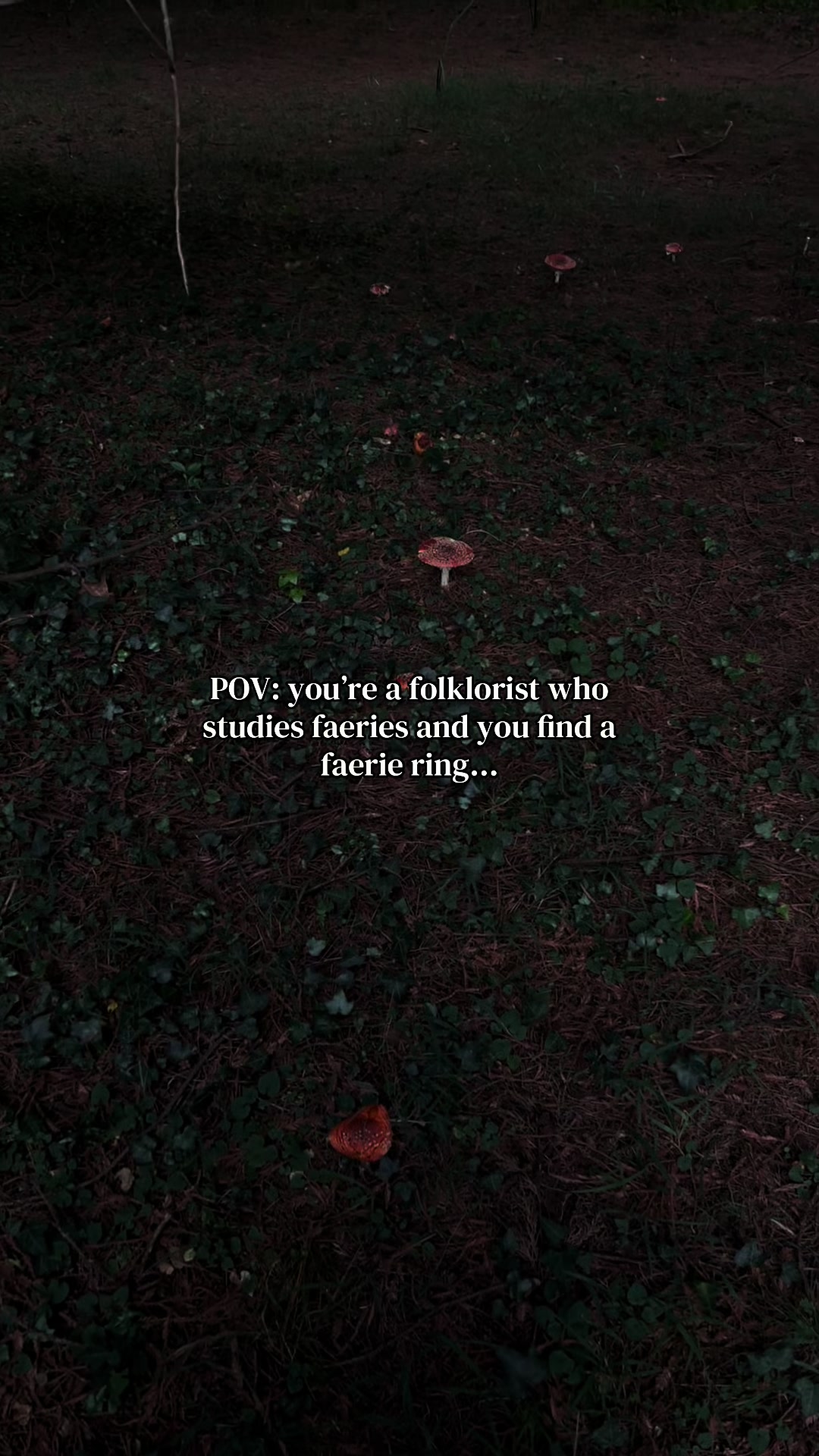 @FAIRY🧚🏽