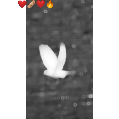 @ALONE 😞