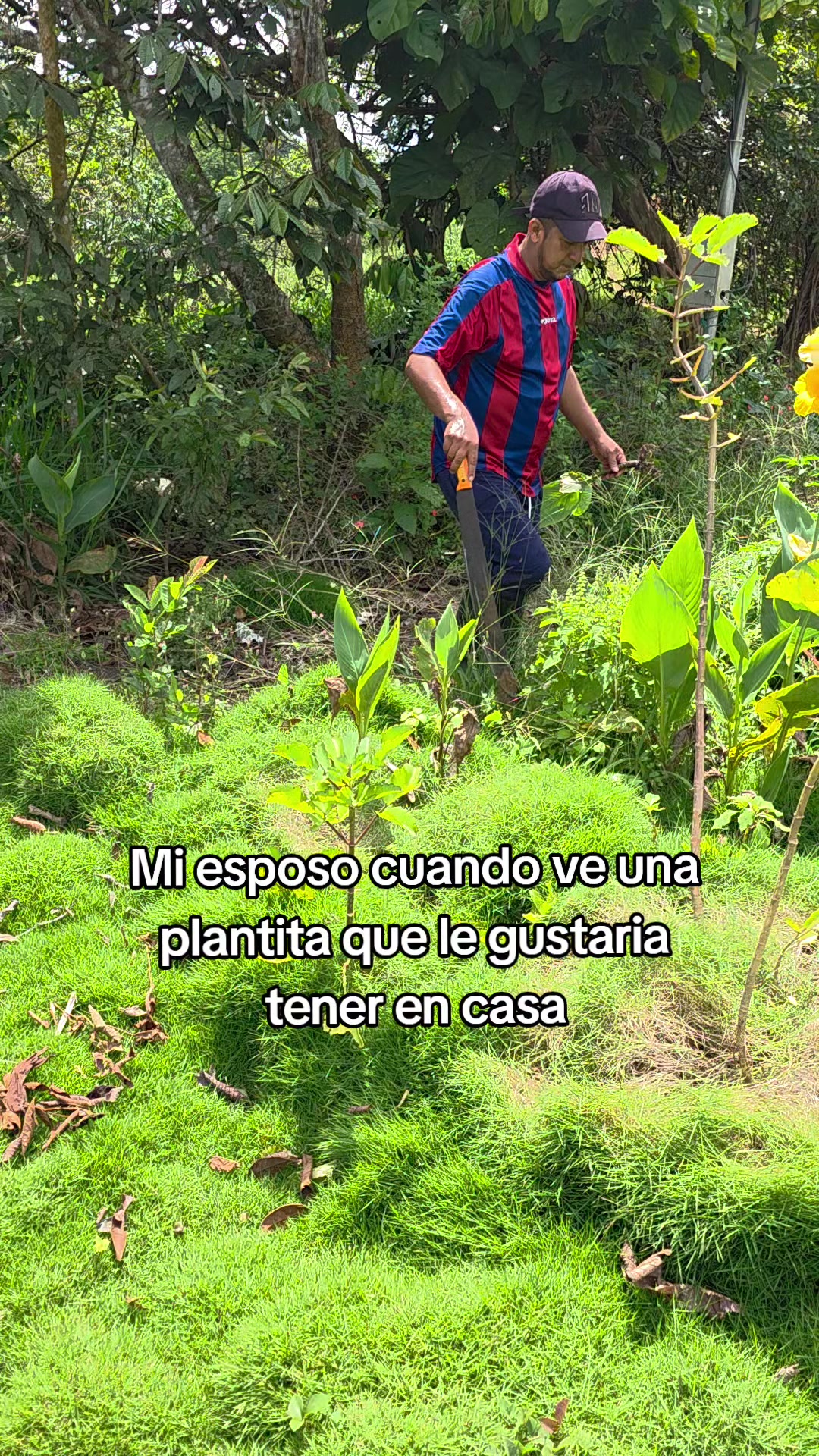 @luz