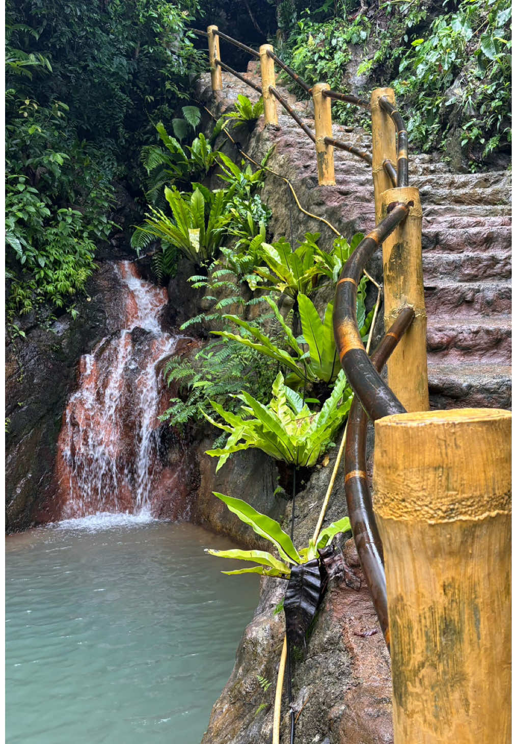@The Jungle Guide