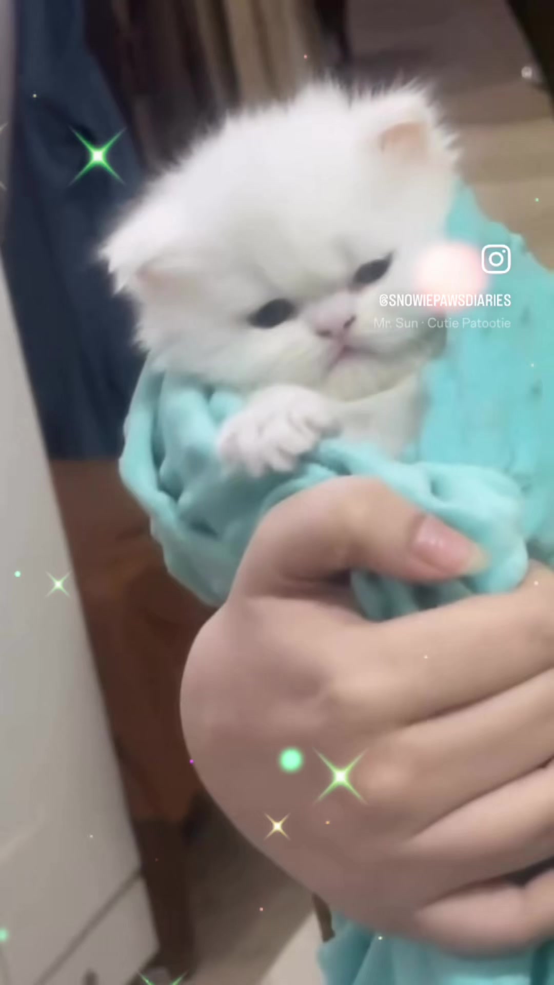 @UCHINOKOmohumohu