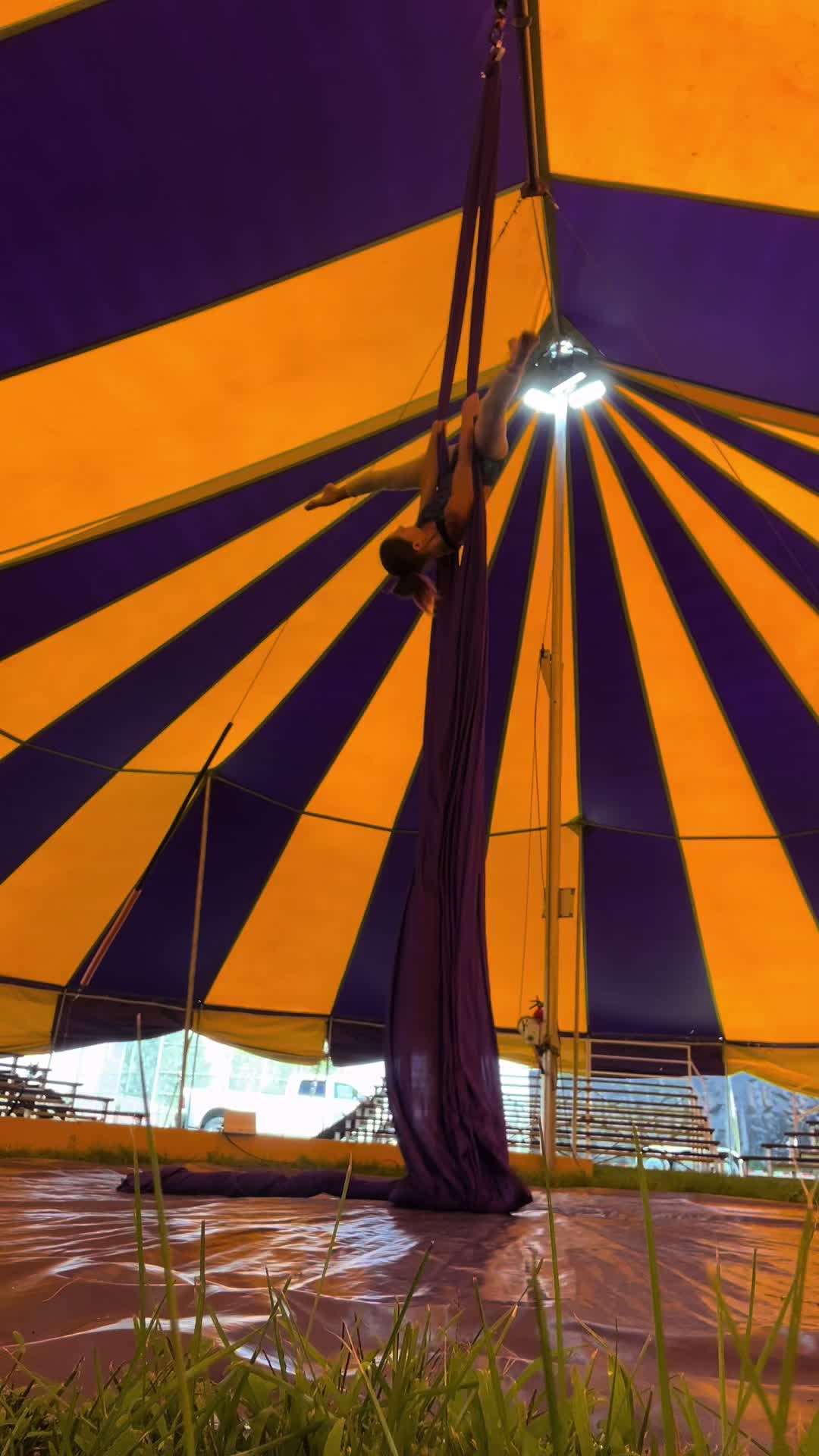 @Haley Stardust