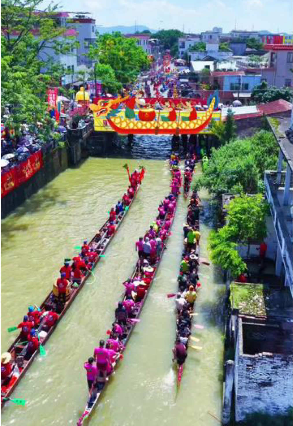 @中国青年