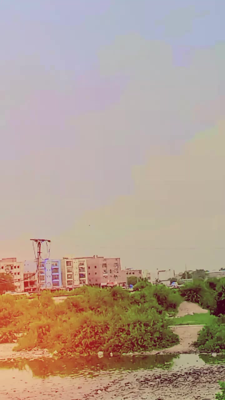 @mujeedrehman243