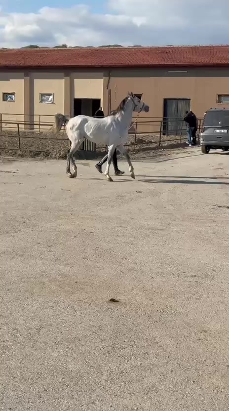 @Ergin Atcı