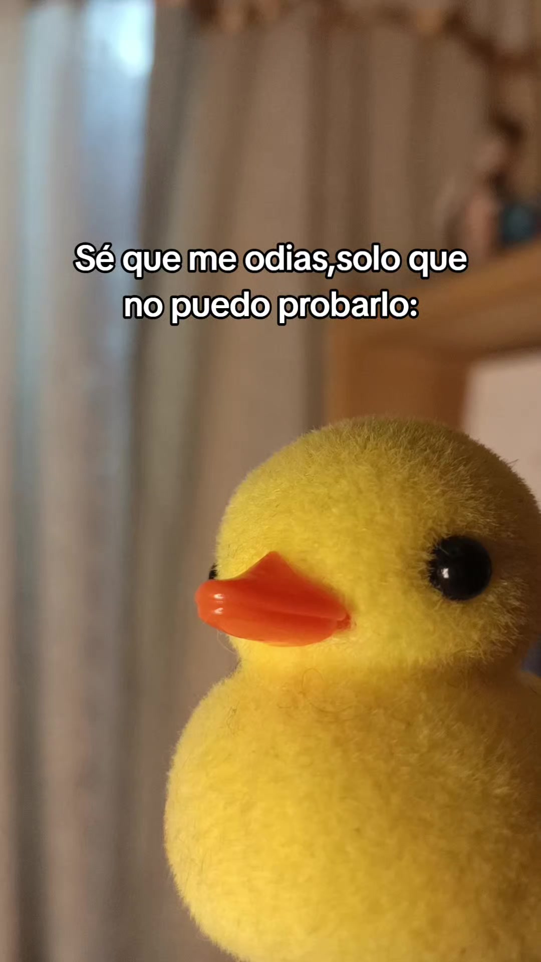 @•El_Trolux•🥑
