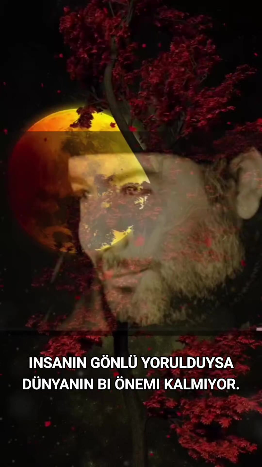 @🔥💔ℋᎯᎽᎯℒ Ꮆöℤℒüℳ 🔥💔