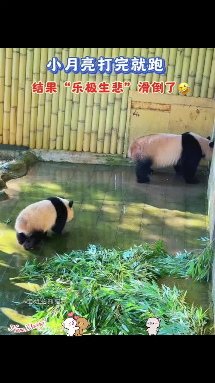 @Nam Dương™