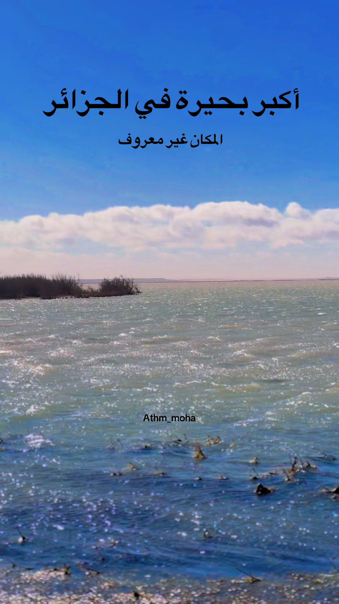 @Mohamed Photography14