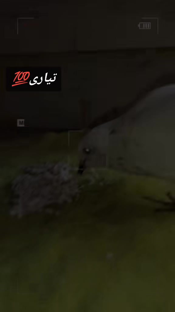 @𝔸𝕣𝕏𝕝𝕒ℕ 𝕏𝕙𝕒ℕ𝕚