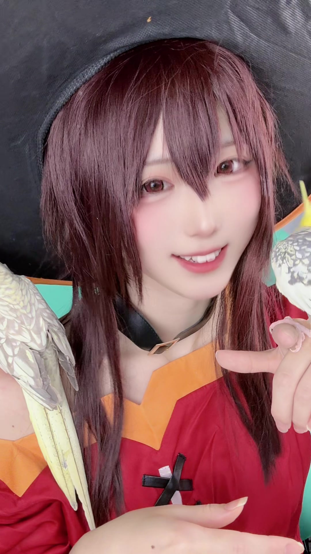 @ぷらる🐺