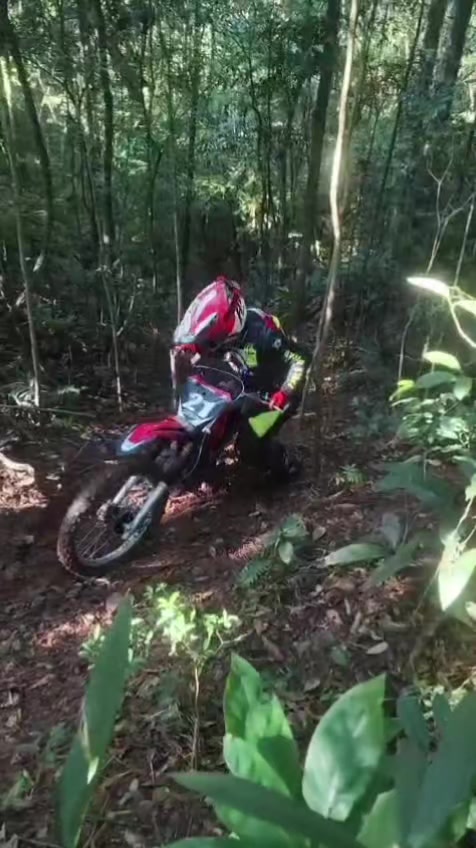 @Daniel De Oliveira D