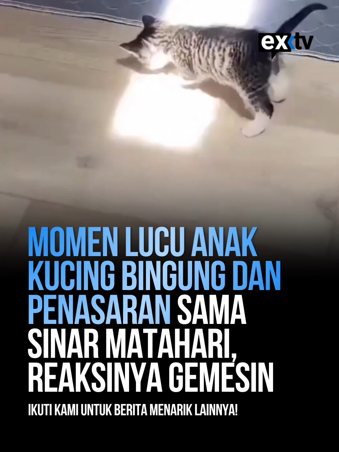@Expressi Media
