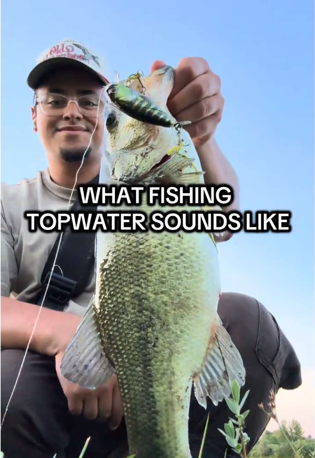 @503basser