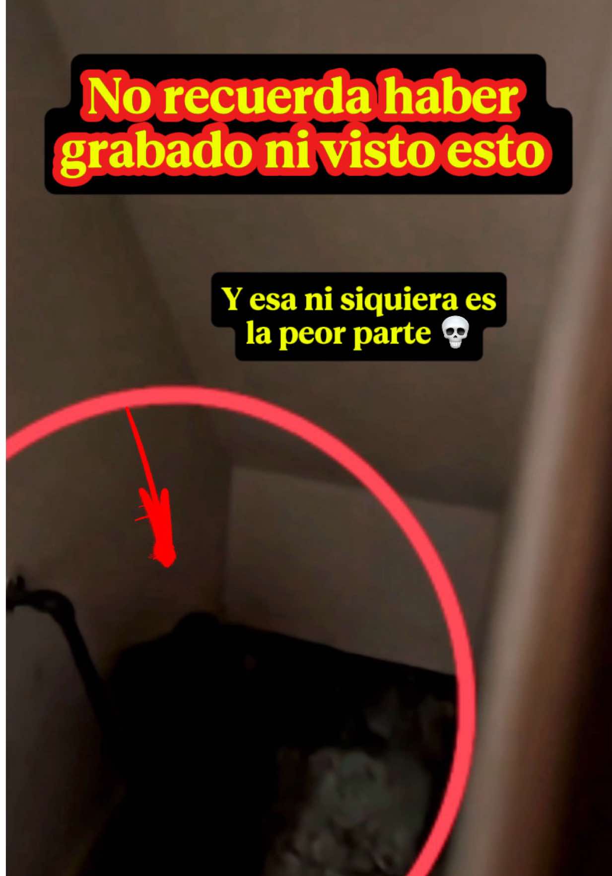 @MaríaJosé Arce