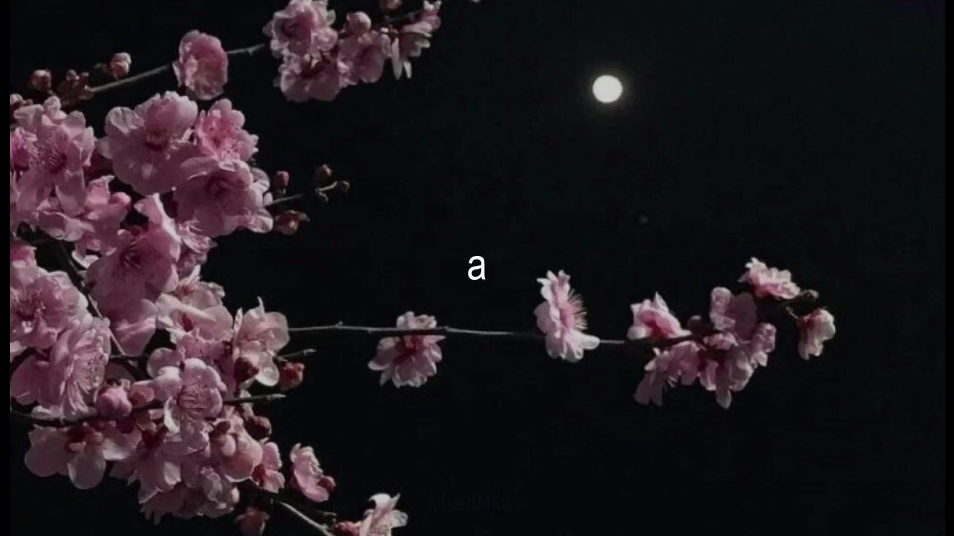 @𝑲𝑰𝑪𝑬𝑹𝑨