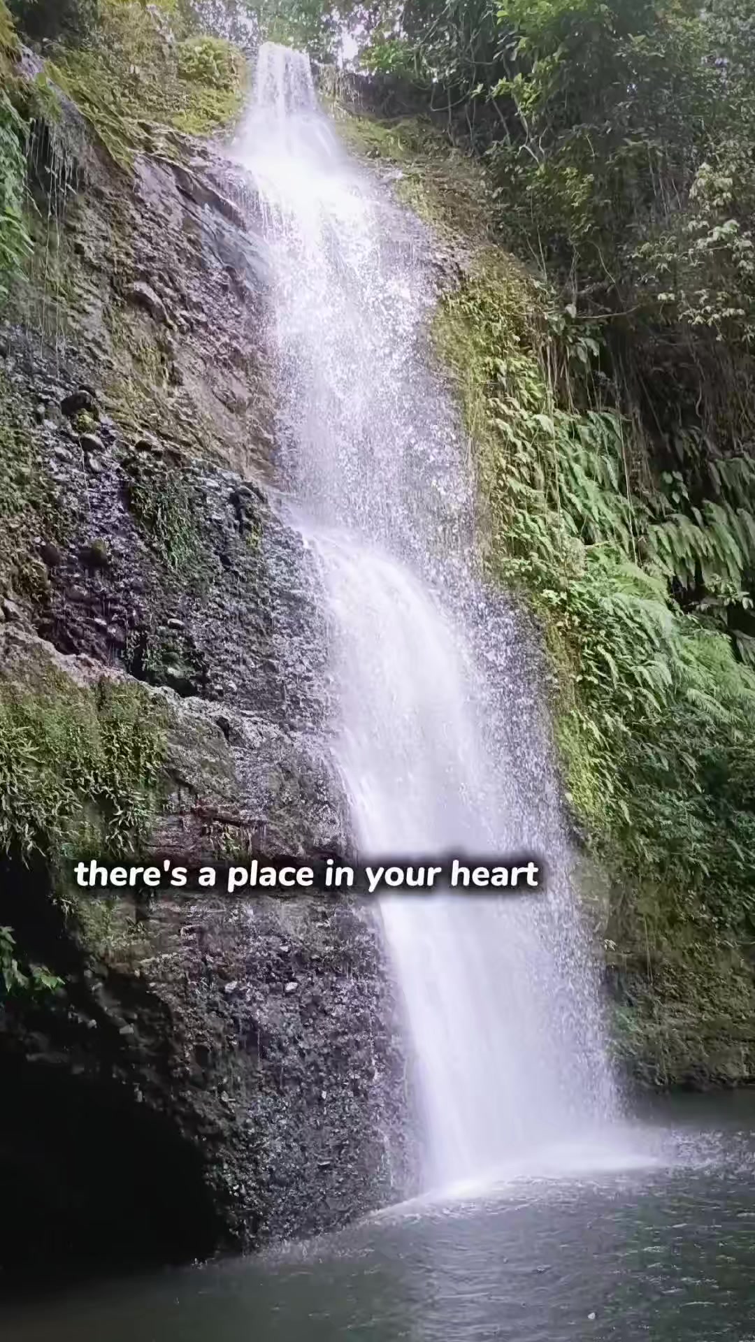 @.......