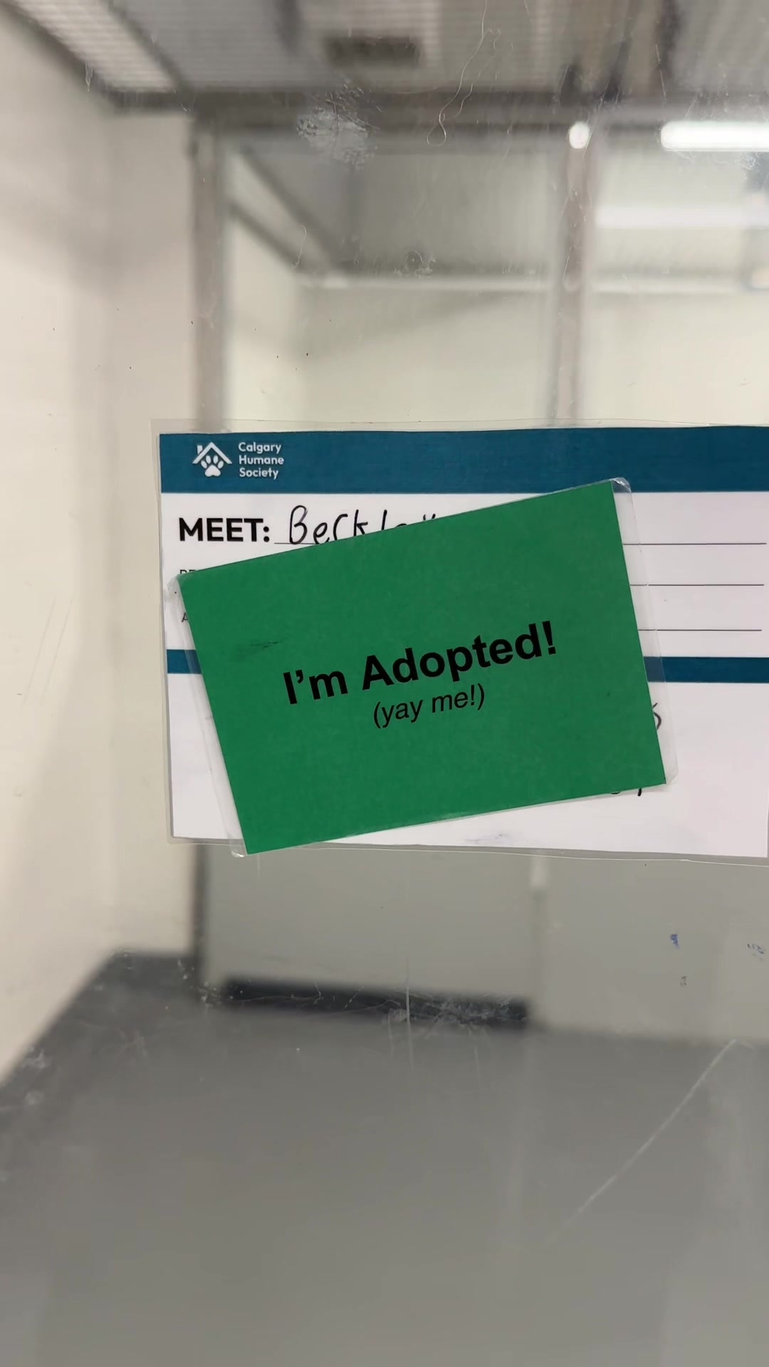 @Calgary Humane Society