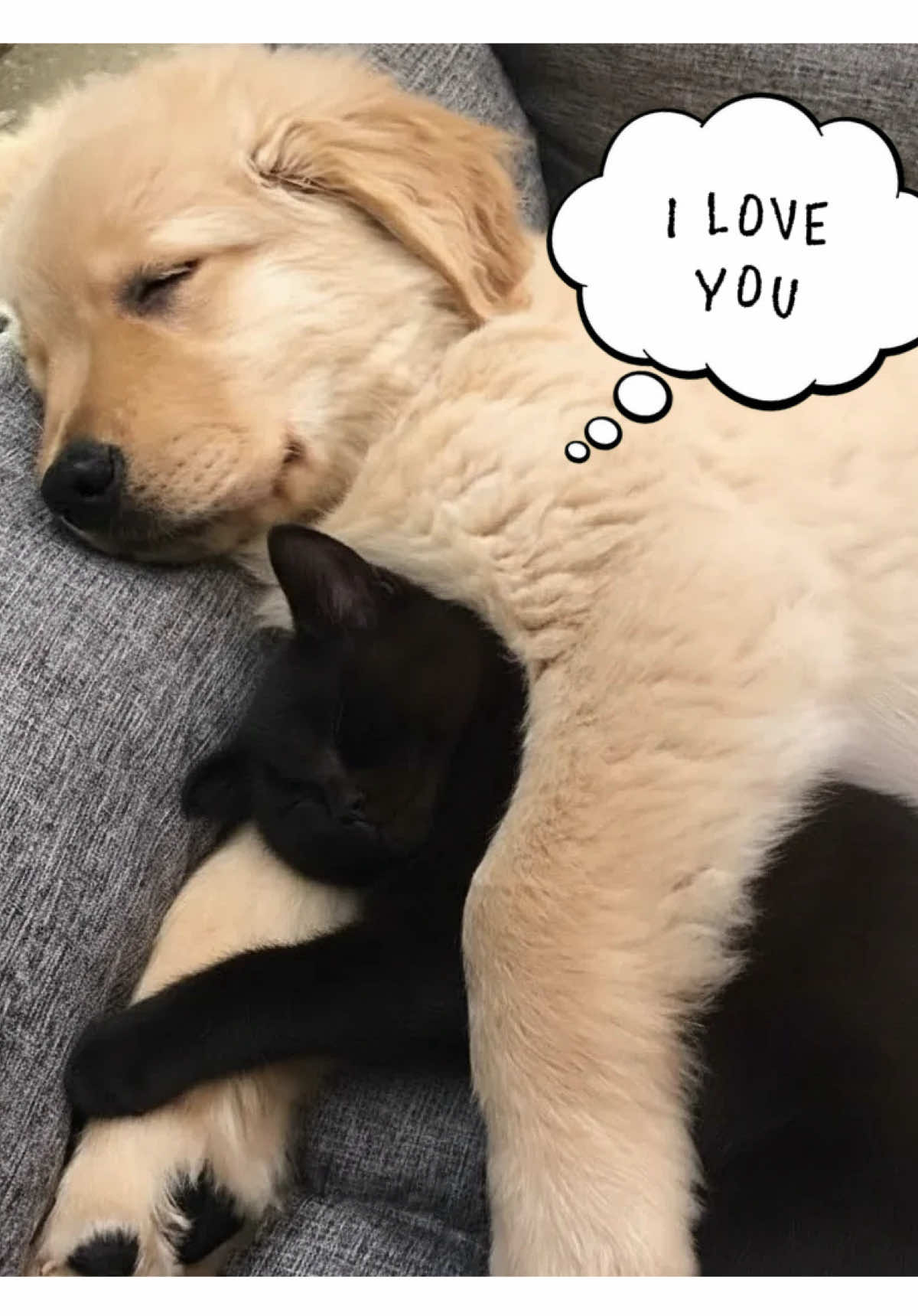 @miles