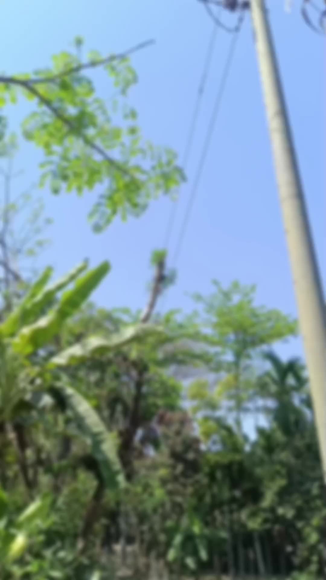 @,,, 🚩ছোট নবাব, 💫,,