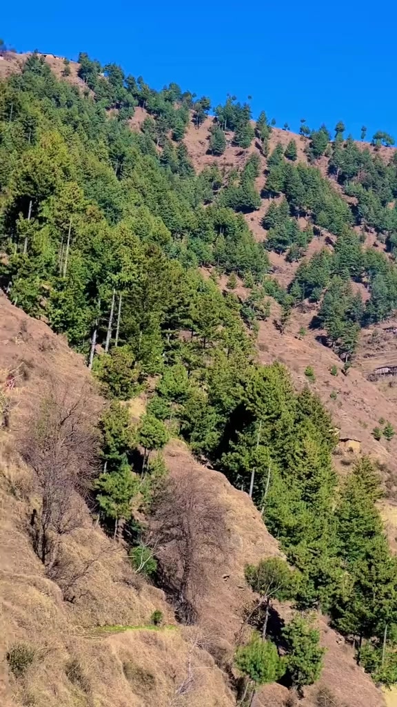 @khansher230