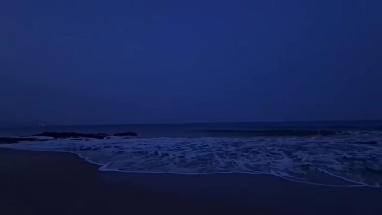 @أابّـوُ وُتُـــــــيٍّنْ 💔🥀