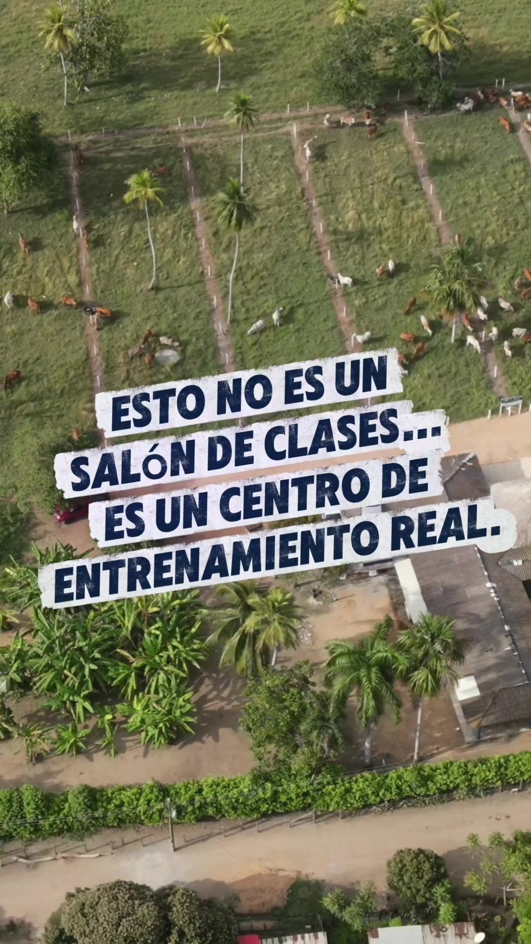 @Global Caribe