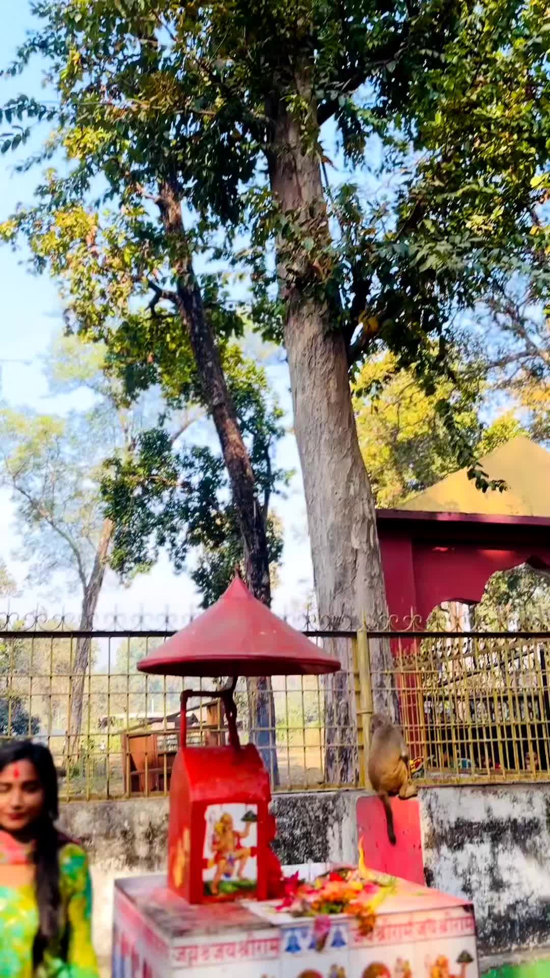 @Sanaya