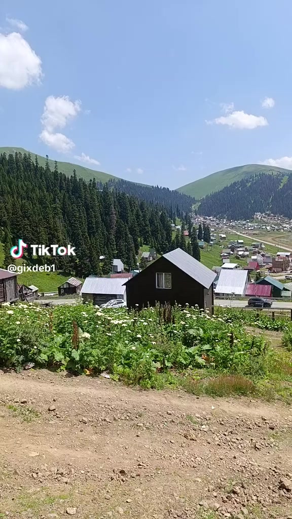 @Manana Jugashvili