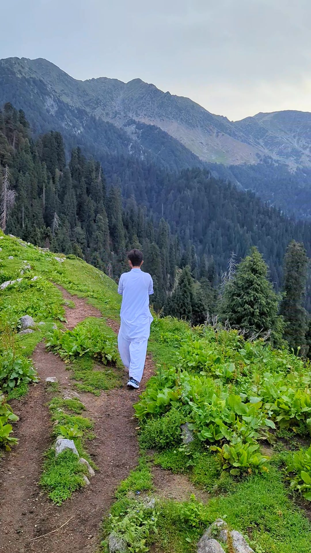 @It's Meer sajad 🔥