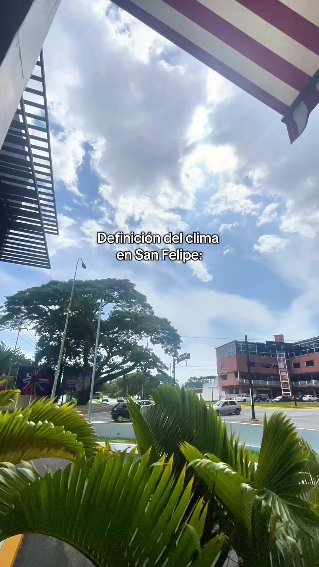 @Mp