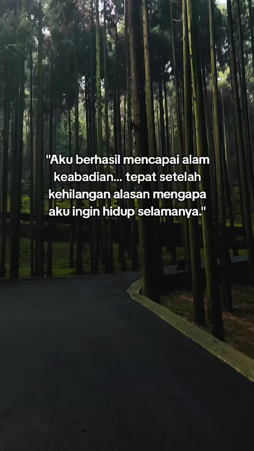 @Kultivator Sad🥀