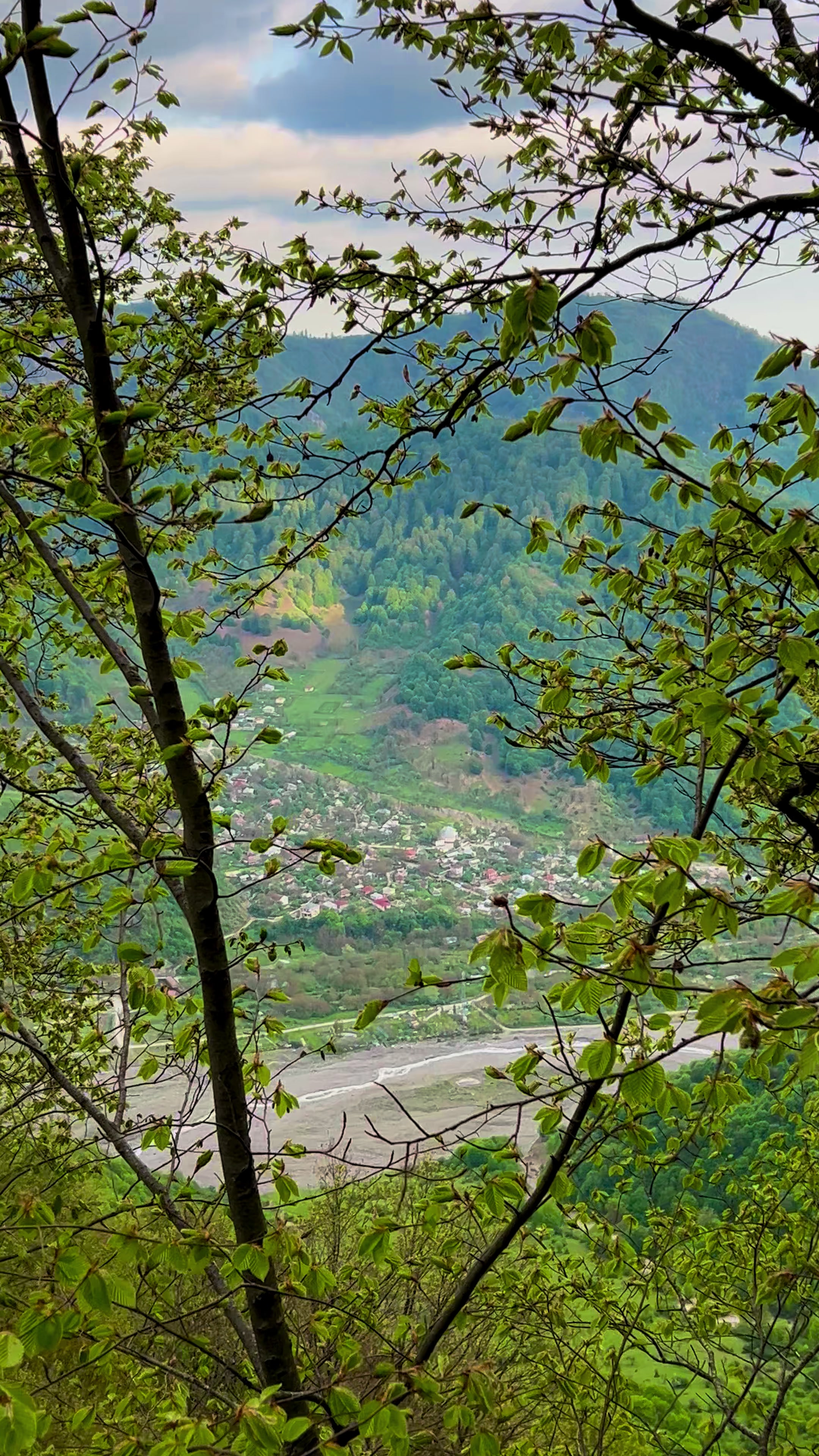 @𝑨𝒅𝒊𝒍𝒐𝒗🌿