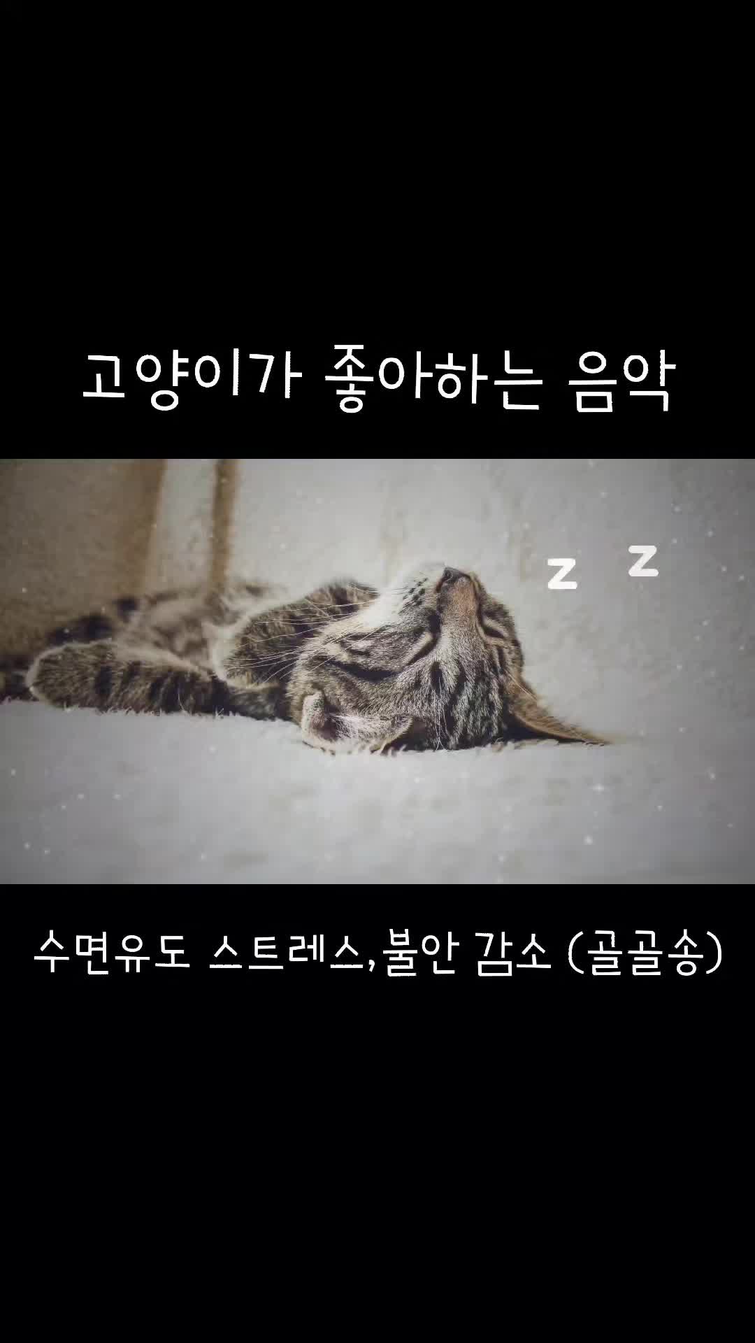 @지니힐즈
