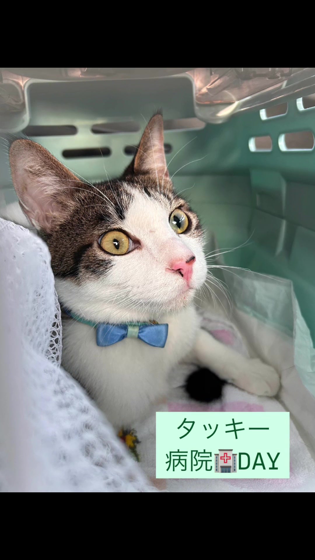 @らっくら家