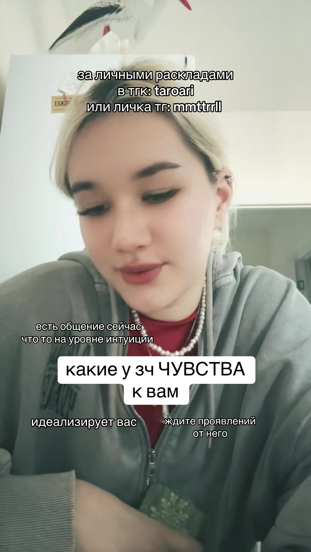 @ТГК: Taro ari