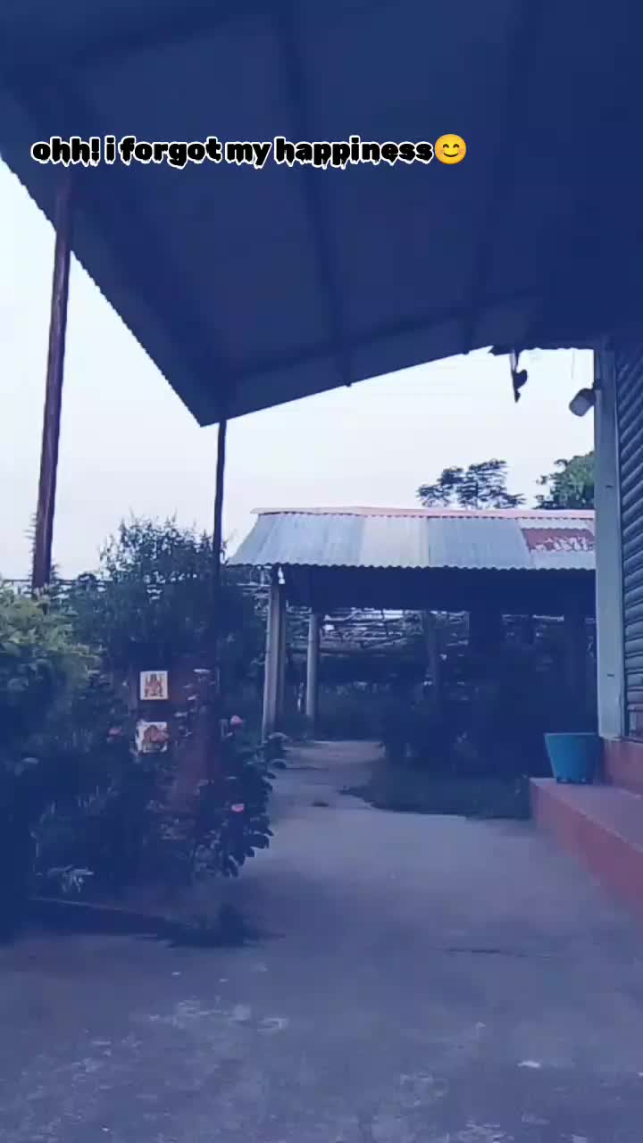 @🌻