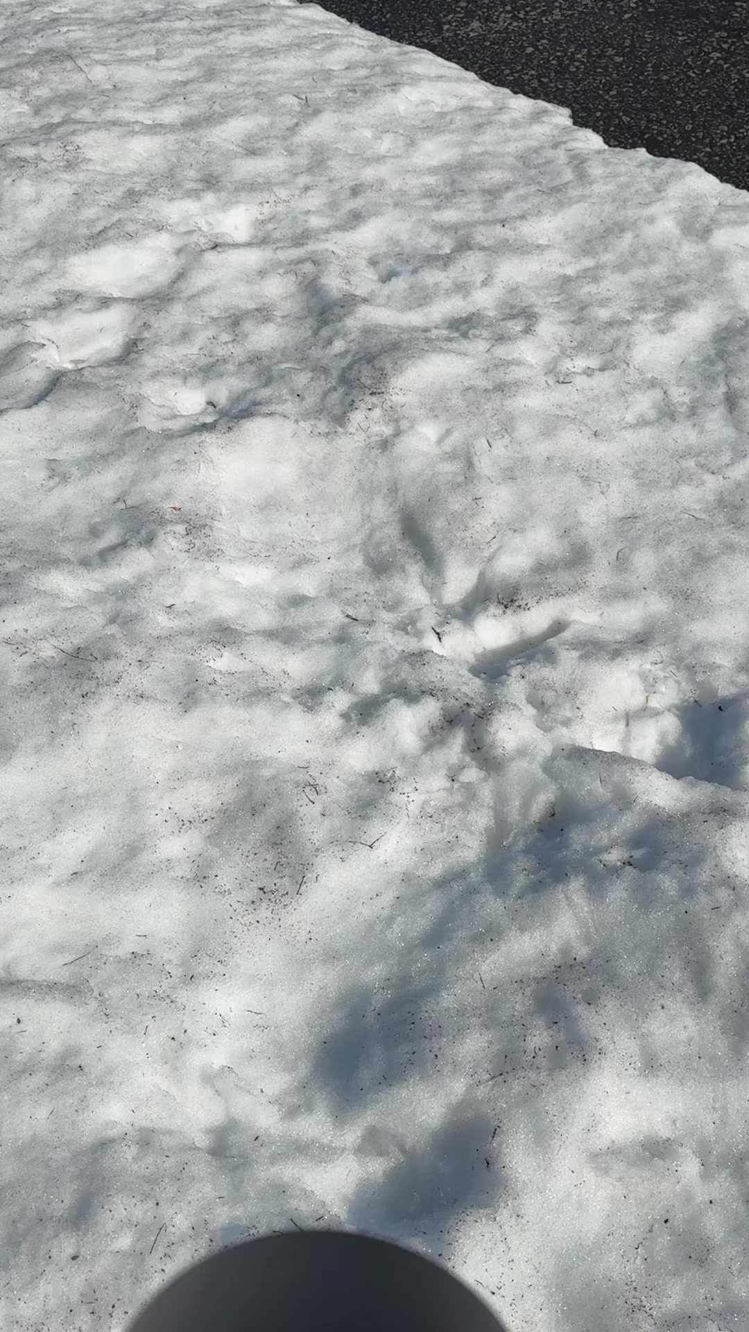 @Mikhail.I love planes