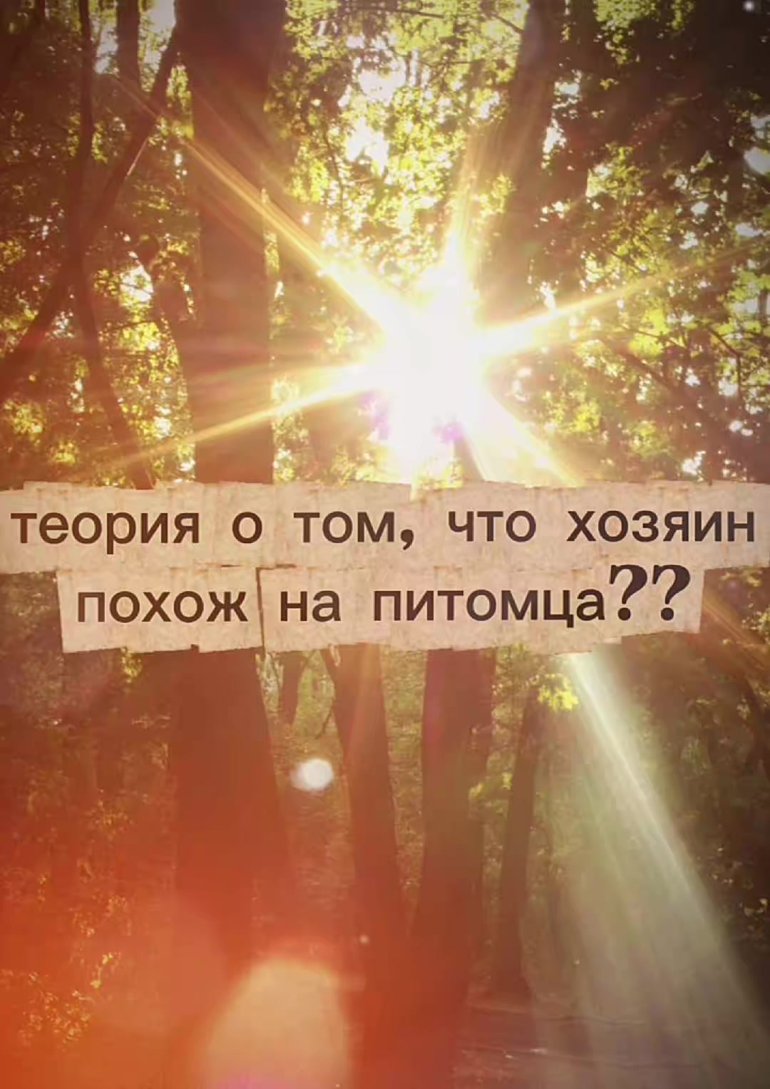 @BabaYaga!