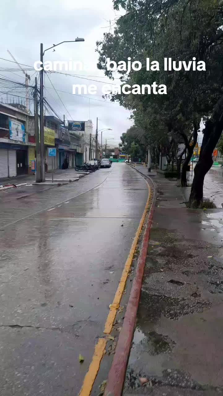 @Fernando Meneses