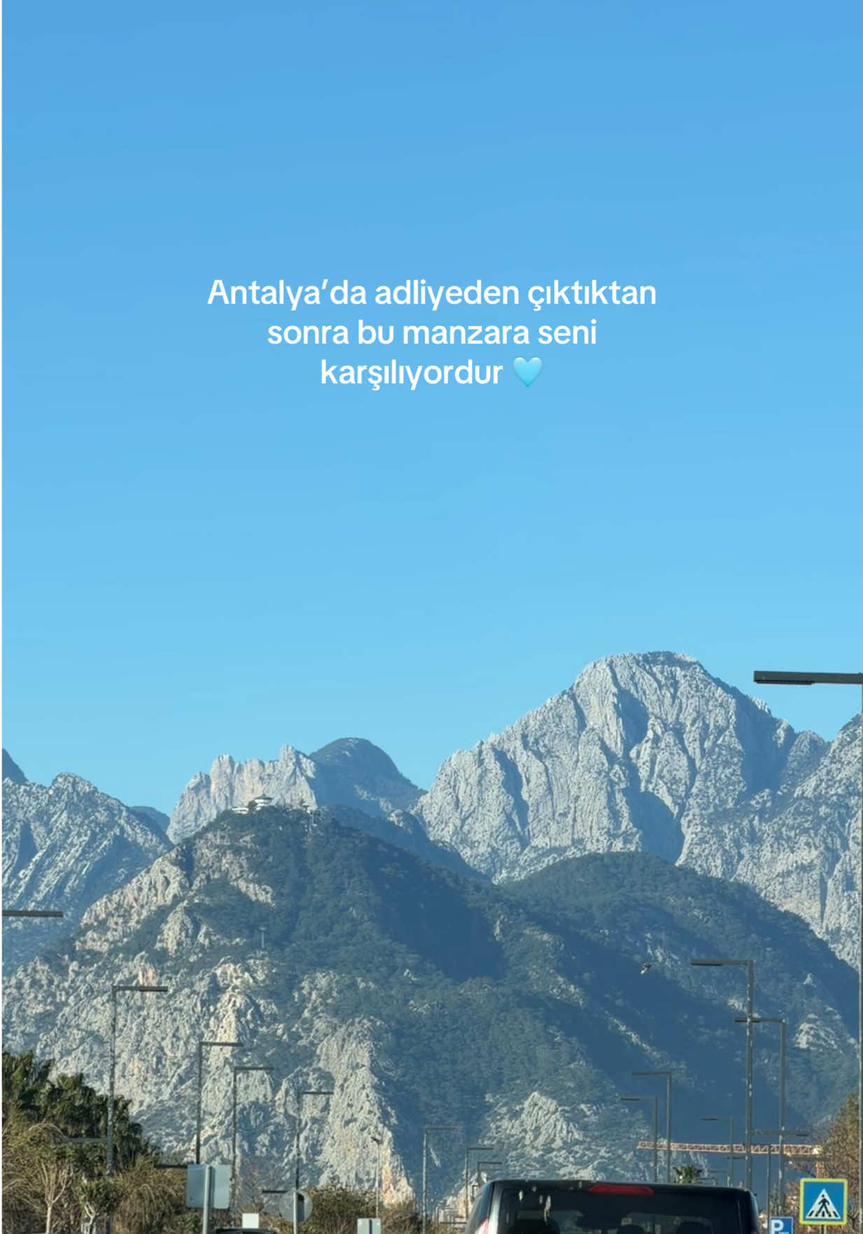 @av.melolog