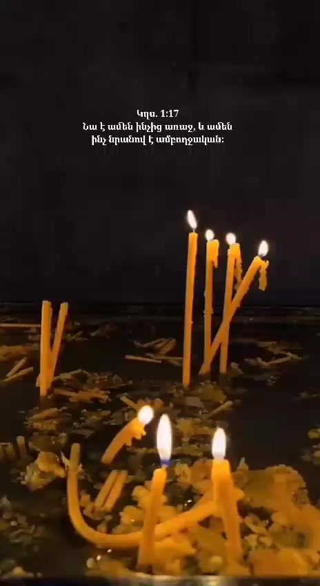 @Tarbervox 👑