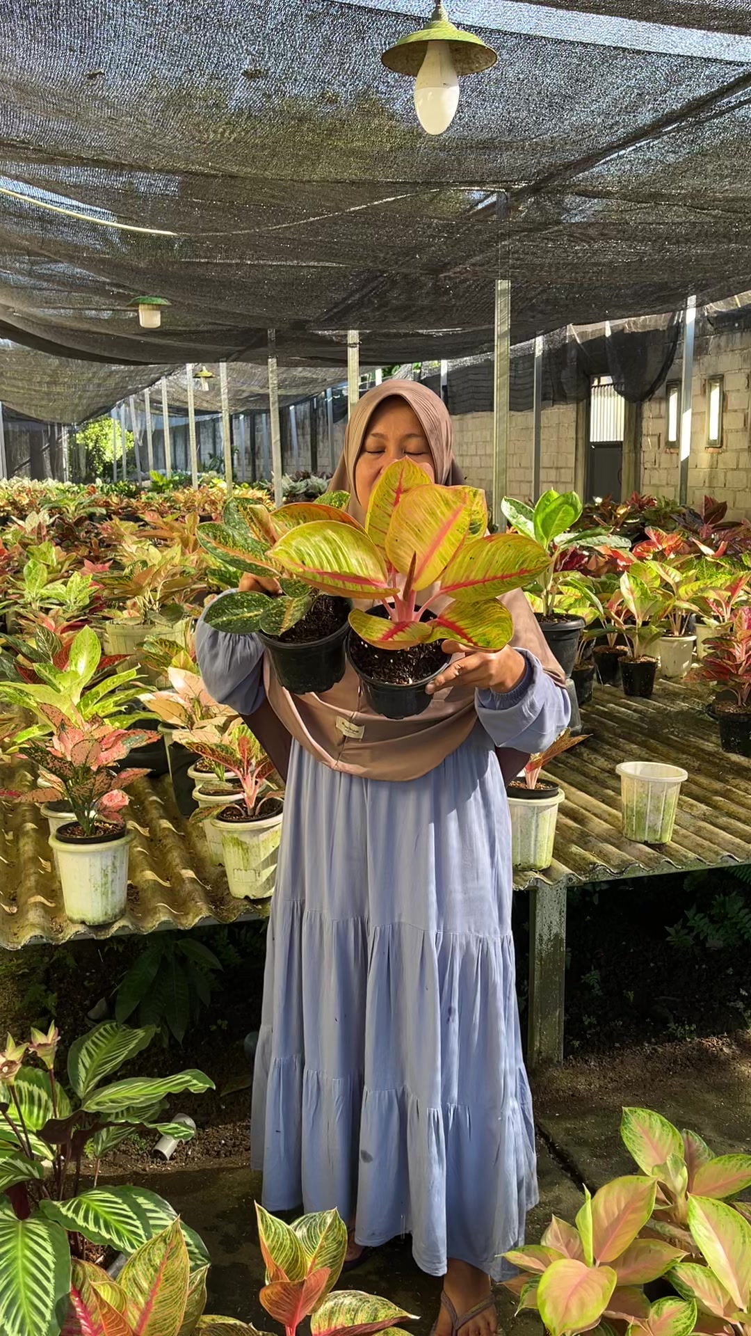 @Amila Flowers