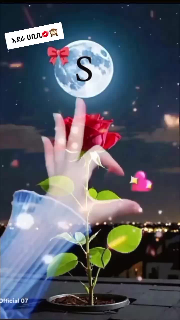 @ያባቷ ጨረቃ ለዲኗ ሟች📚🔐