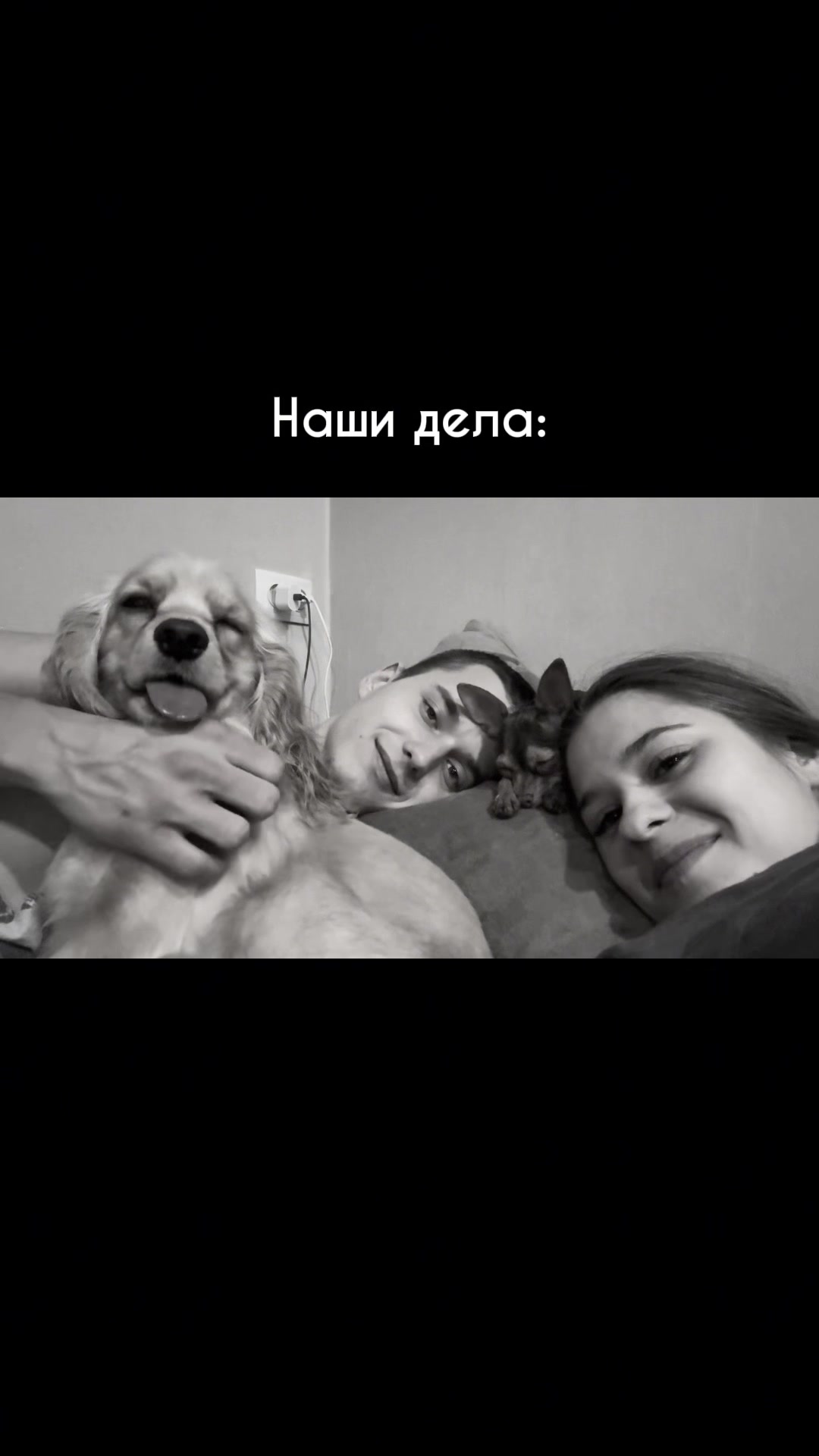 @skaldinova.resni