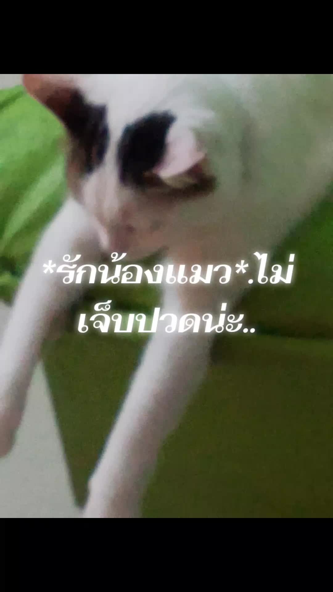 @Thipgoodluck