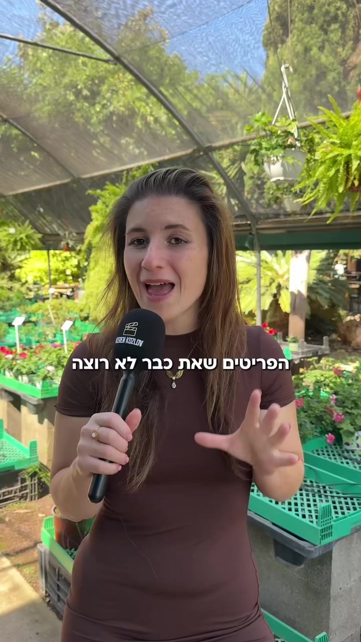 @Keren Kozlov