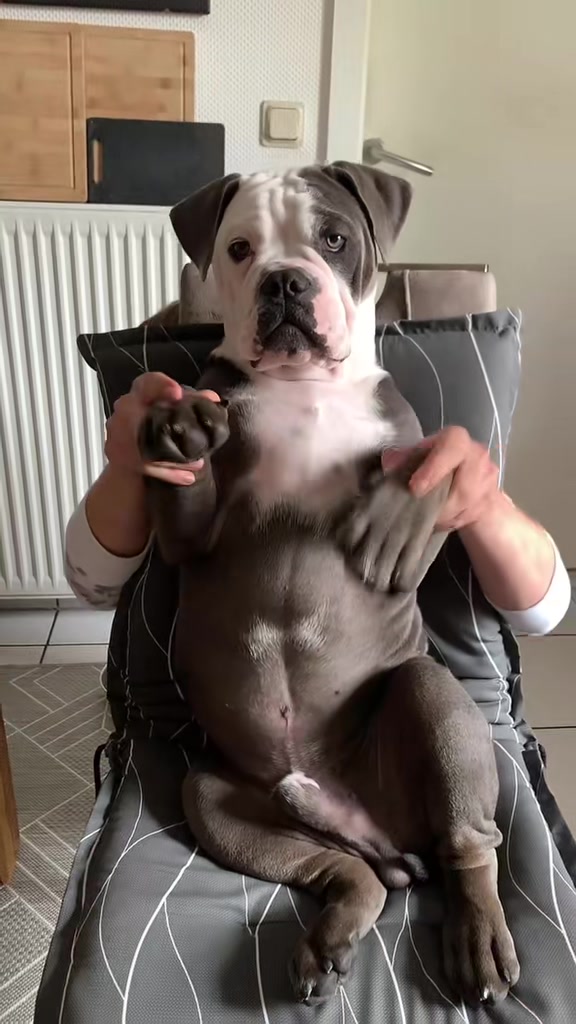 @Kalle 🐕