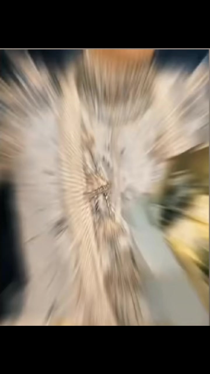 @pp(bl fan)