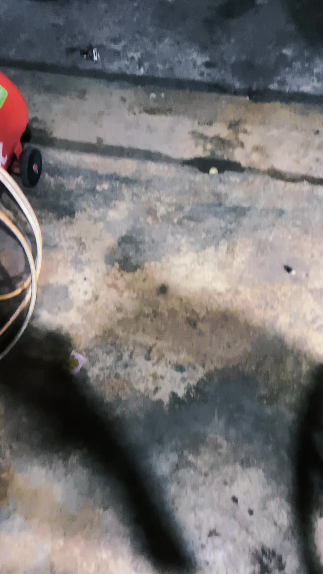 @AsengggDisiniii